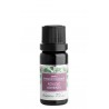 SMĚS ÉTERICKÝCH OLEJŮ - KOUZLO ADVENTU (10 ml) Nobilis