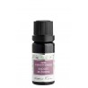 SMĚS ÉTERICKÝCH OLEJŮ - RADOST ZE ŽIVOTA (10 ml) Nobilis