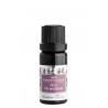 SMĚS ÉTERICKÝCH OLEJŮ - PÉČE PŘI MIGRÉNĚ (10 ml) Nobilis