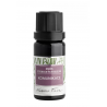 SMĚS ÉTERICKÝCH OLEJŮ - KOMUNIKACE (10 ml) Nobilis