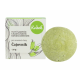 TUHÝ ŠAMPÓN S KONDICIONÉREM - ČAJOVNÍK (50 g) Kvítok